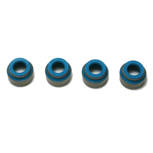 VITON VALVE SEALS