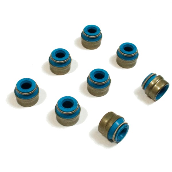 VITON VALVE SEALS