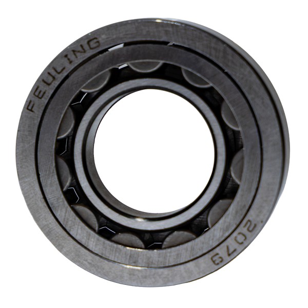 CAM BEARINGS