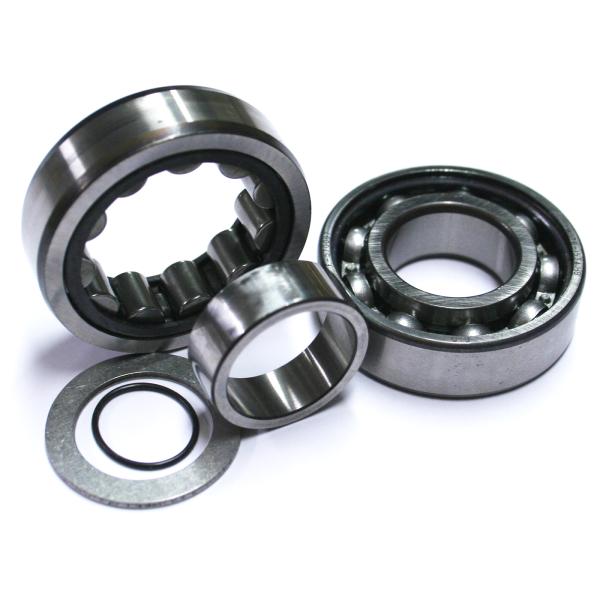 CAM BEARINGS