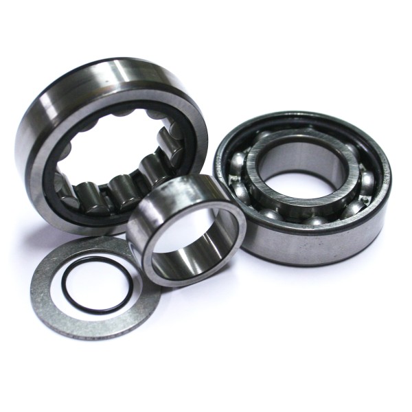 CAM BEARINGS